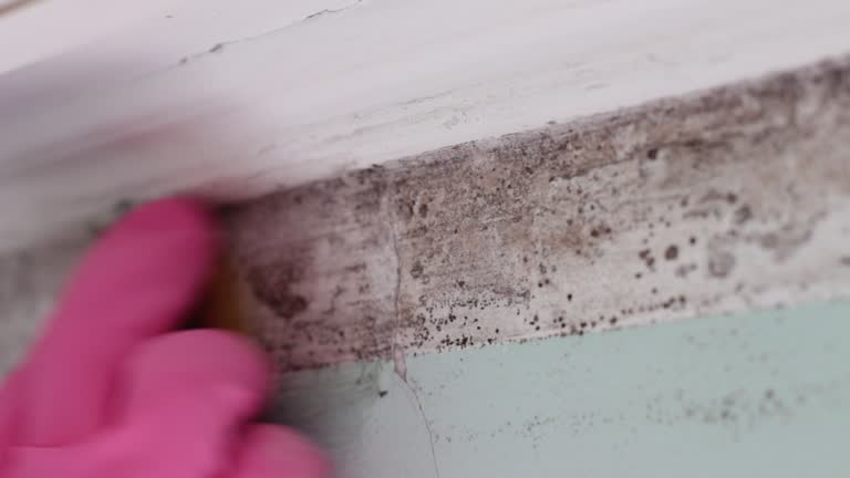 Best Residential Mold Inspection & Testing  in Wellsville, MO